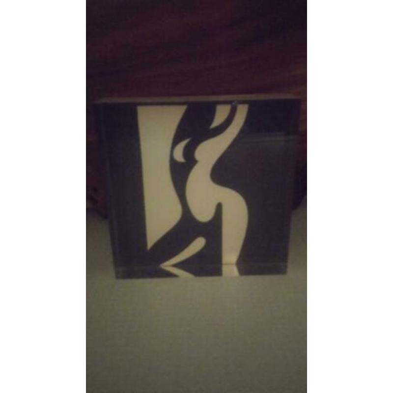 Prachtig kunstwerkje, vrouw in zwart/wit. Mooi designobject