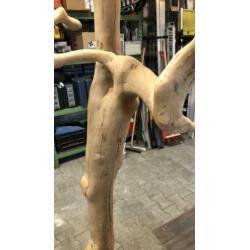 Koffiebonenboom op voetstuk gemaakt van takken van boom