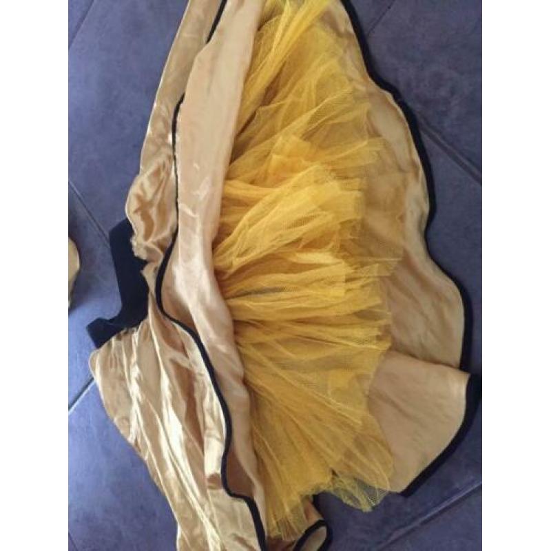 Goudkleurige rok met tule en bijpassend sjaaltje