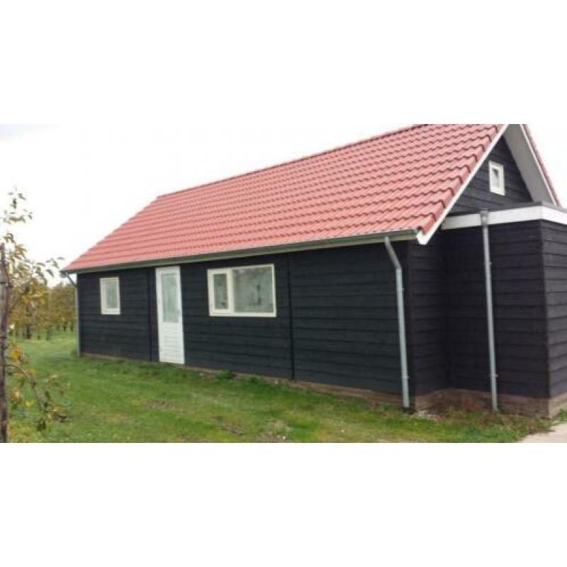 Woonhut/blokhut/tuinhuis bouwpakket