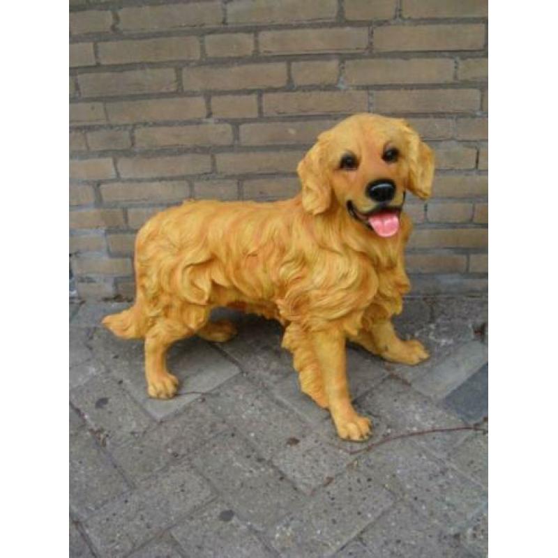 Golden Retriever Beeld van Kunststof Koperboutique Yvonne