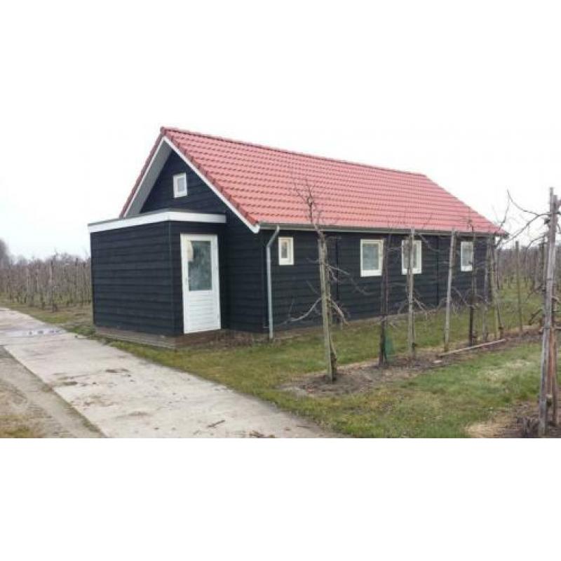 Woonhut/blokhut/tuinhuis bouwpakket