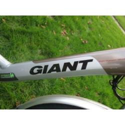Giant Twist Go Double elektrische damesfiets 46 cm nexus 8 V