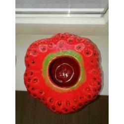 Des Pots Aardbeivaas