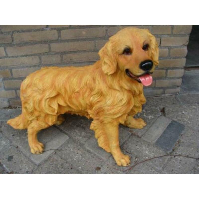 Golden Retriever Beeld van Kunststof Koperboutique Yvonne