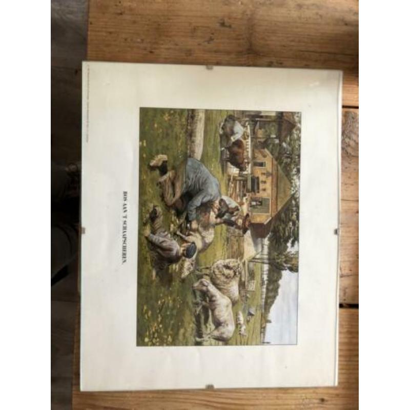 Schoolplaten schilderijtjes Wolters-Noordhoff