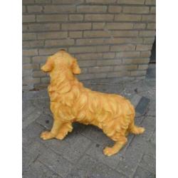 Golden Retriever Beeld van Kunststof Koperboutique Yvonne