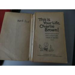 charlie brown/snoopy/Charles M Schulz/Lucy/Pocket/Retro/