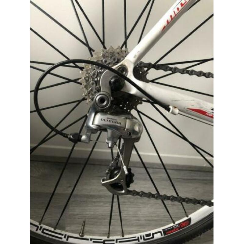 Moser Speed 56” Ultegra