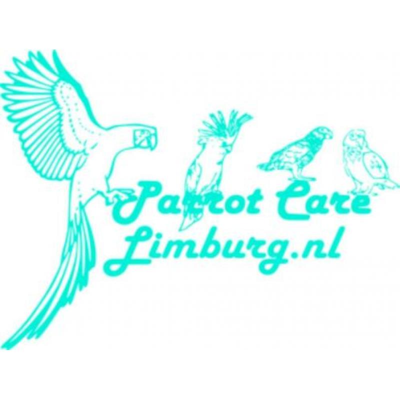 Betaalbaar & Veilig Parkiet & Papegaai speelgoed.