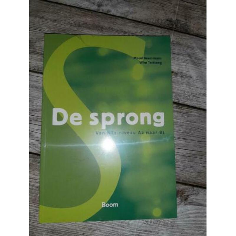 De sprong boek B1 Nederland taal met code
