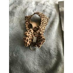 Susan lanci cheetah tuigje