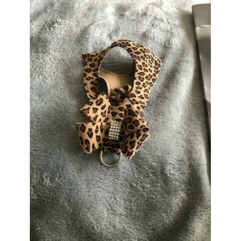 Susan lanci cheetah tuigje