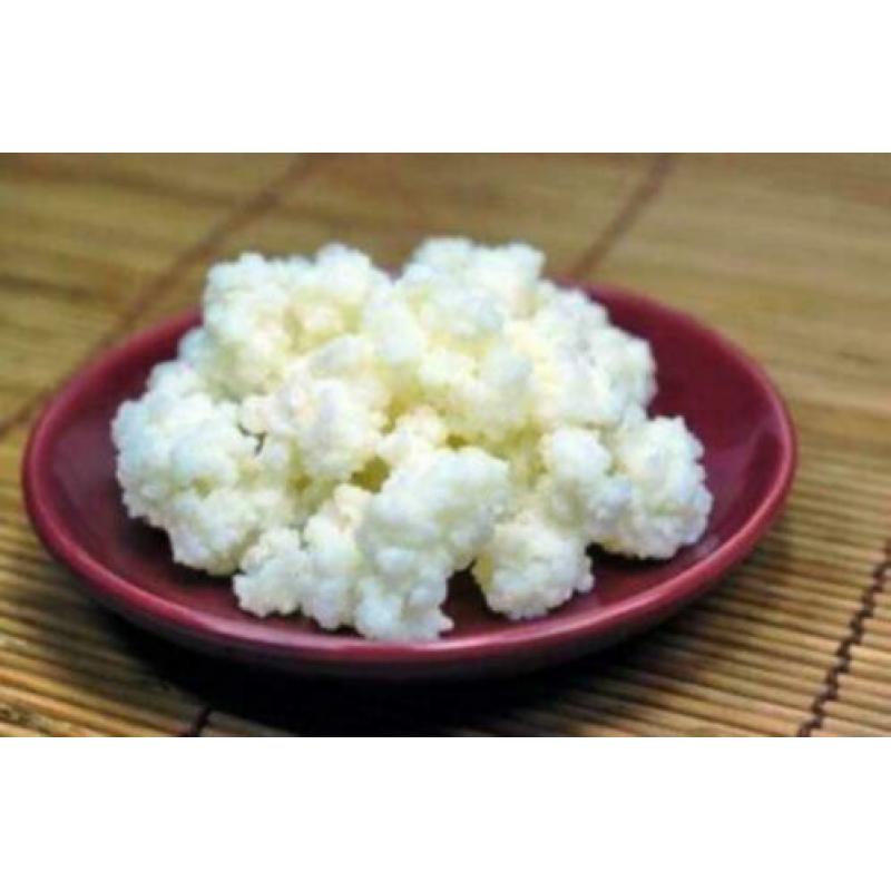 Verse Melk Kefir [ 50 gram ]