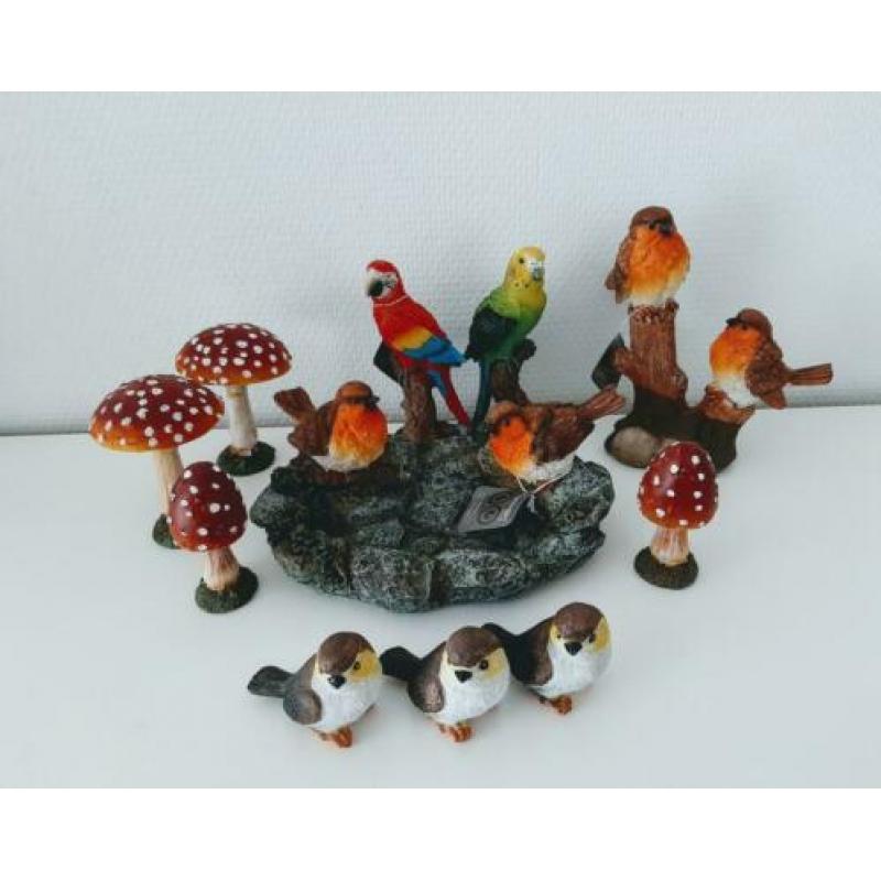 Roodborstjes/papegaaitjes????paddestoeltjes????+meer vogeltjes