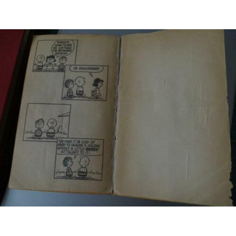 charlie brown/snoopy/Charles M Schulz/Lucy/Pocket/Retro/