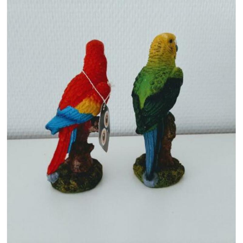 Roodborstjes/papegaaitjes????paddestoeltjes????+meer vogeltjes