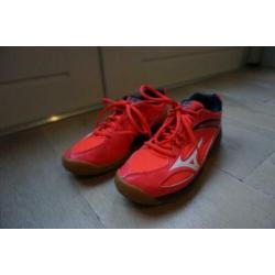 Hanbal-/volleybal schoenen, maat 38