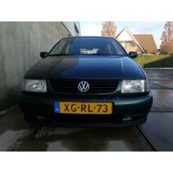 Volkswagen Polo 1.4 automaat 5 deurs