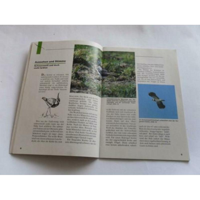 Duits boekje over kievit , Der Kiebitz Vogel des Jahres 1996