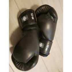 Twins bokshandschoenen 12 oz