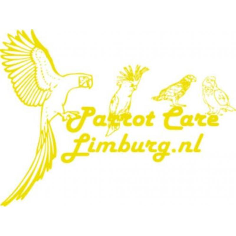 Betaalbaar & Veilig Parkiet & Papegaai speelgoed.