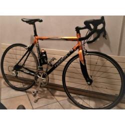 Prachtig mooie Wilier Triestina Mortirolo