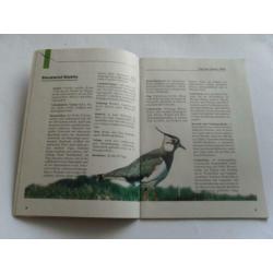 Duits boekje over kievit , Der Kiebitz Vogel des Jahres 1996