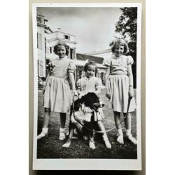 Kaart ansichtkaart foto Beatrix Irene Margriet (766)