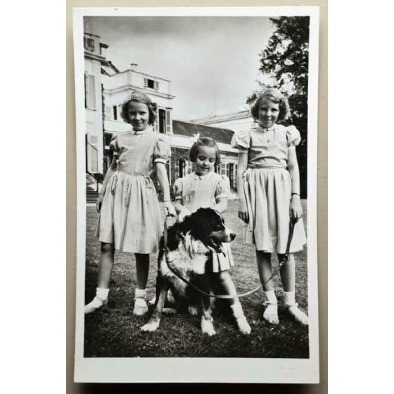 Kaart ansichtkaart foto Beatrix Irene Margriet (766)