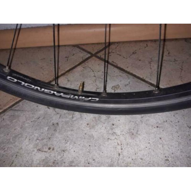 Prachtig mooie Wilier Triestina Mortirolo