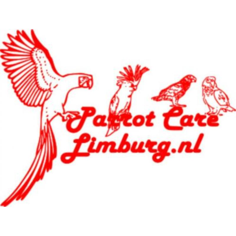 Betaalbaar & Veilig Parkiet & Papegaai speelgoed.