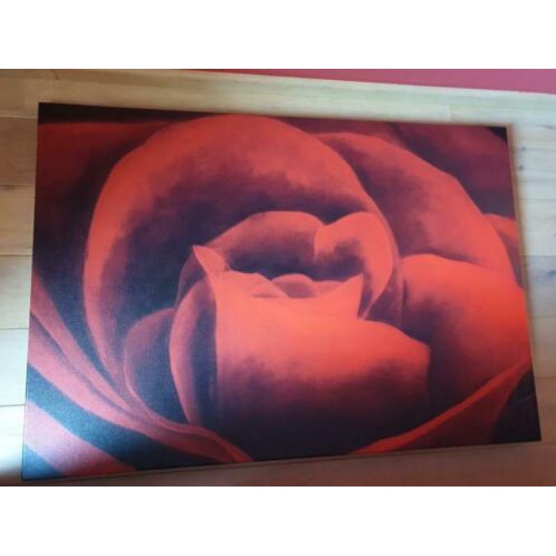 Canvas doek roos (1.30 x 90)