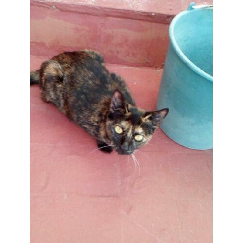 jarela,Conchita, 01-07-2019 gered uit een gevaarlijke plek