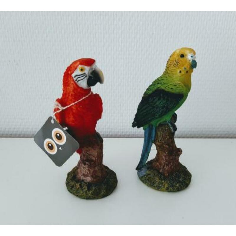 Roodborstjes/papegaaitjes????paddestoeltjes????+meer vogeltjes