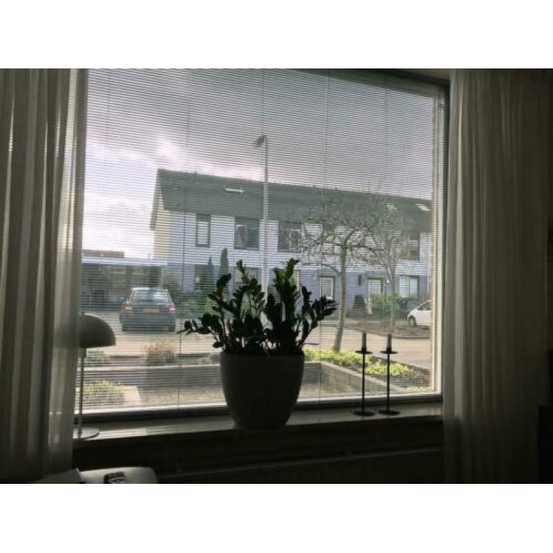3 stuks luxaflex