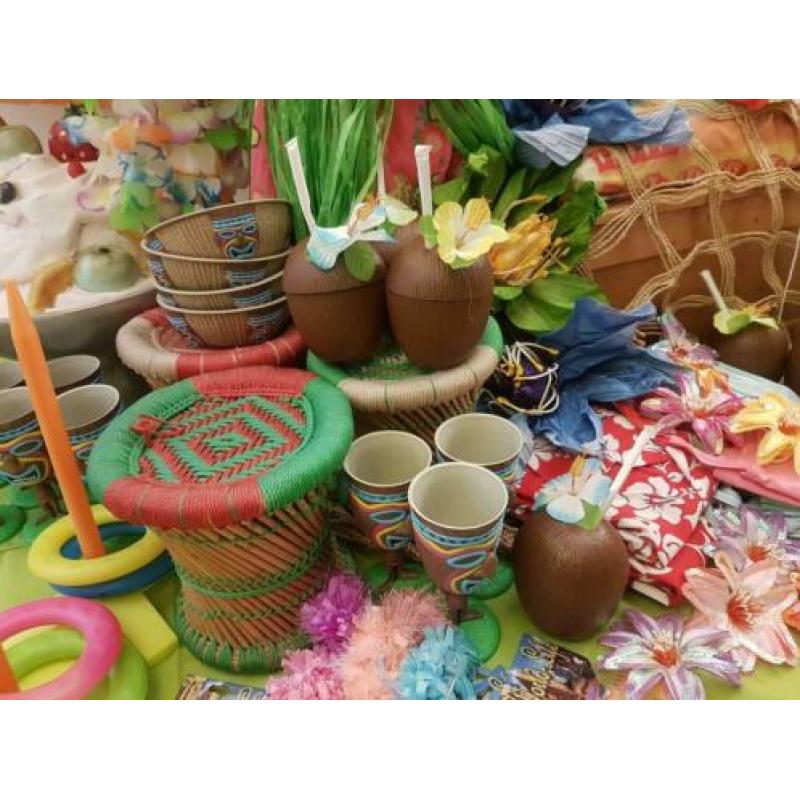 Te koop Hawaï themakist, verkleedkist, kinderfeestje