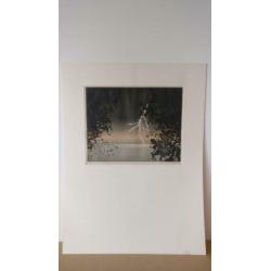 Jean Solombre (1948-2005), Bliksem, ets, proefdruk, E.E.