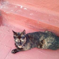 jarela,Conchita, 01-07-2019 gered uit een gevaarlijke plek