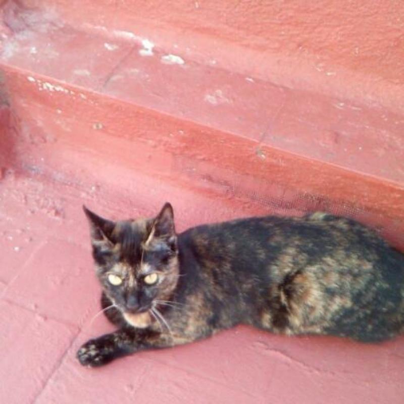 jarela,Conchita, 01-07-2019 gered uit een gevaarlijke plek