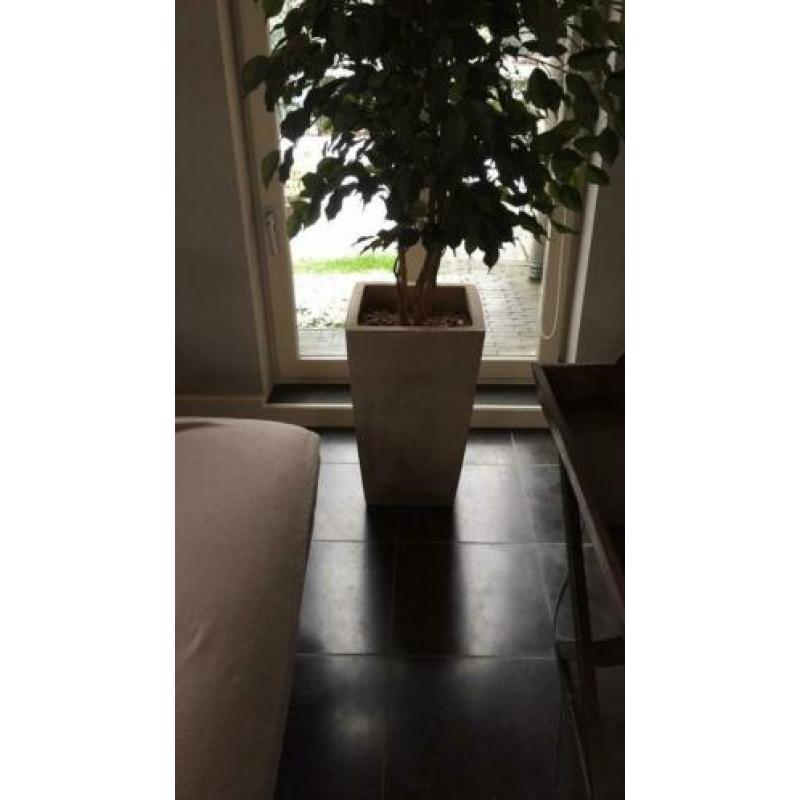 Grote kunstplant met pot hoogte 180 cm