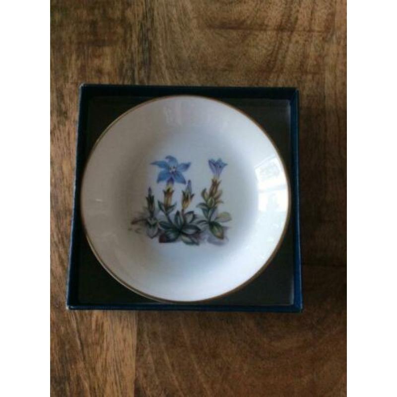 Bone China bordjes