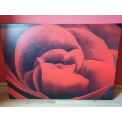 Canvas doek roos (1.30 x 90)