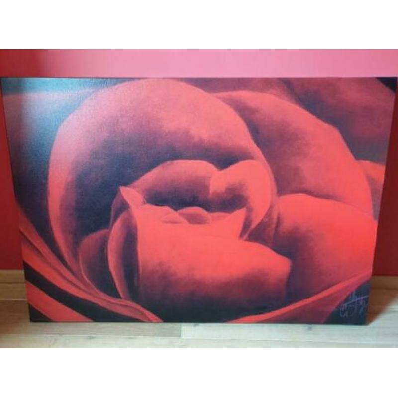 Canvas doek roos (1.30 x 90)