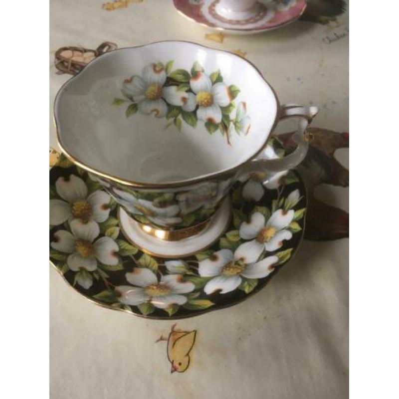 Royal Albert
