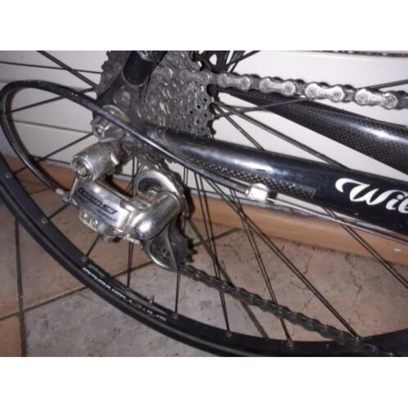 Prachtig mooie Wilier Triestina Mortirolo