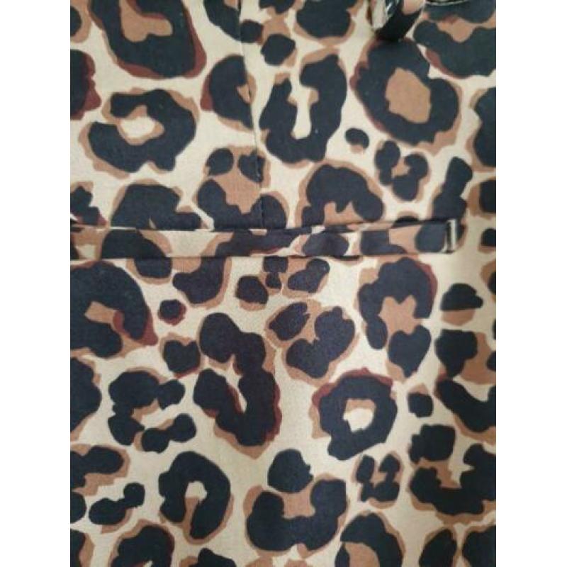 Tijgerprint broek maat S
