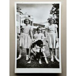 Kaart ansichtkaart foto Beatrix Irene Margriet (766)