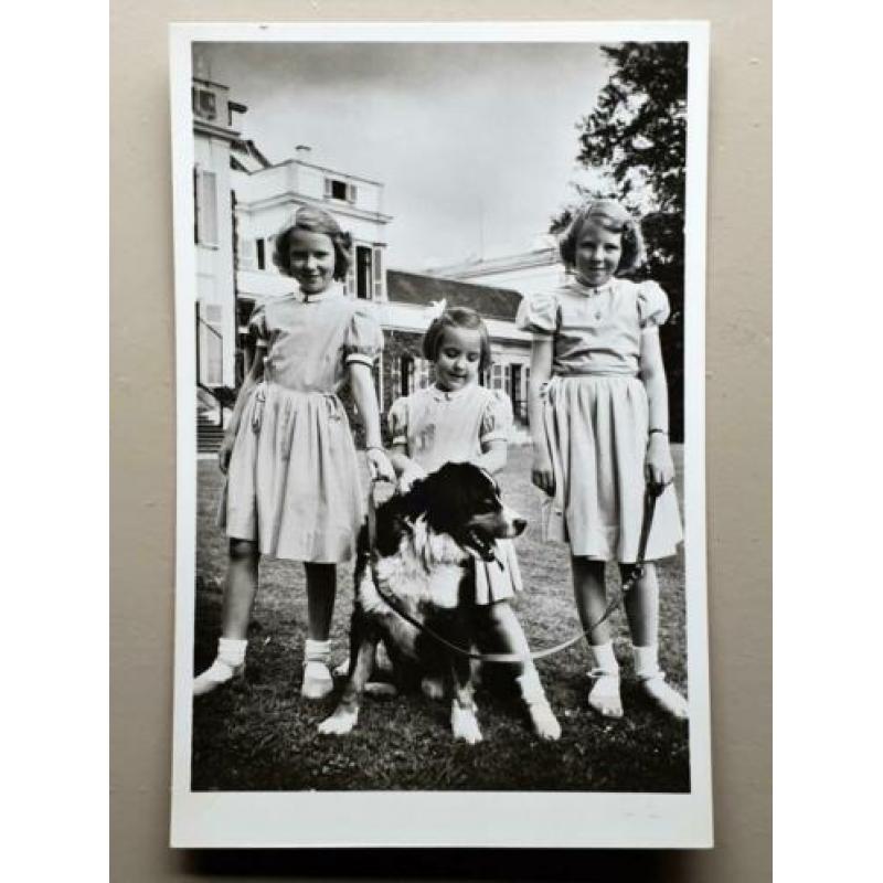 Kaart ansichtkaart foto Beatrix Irene Margriet (766)