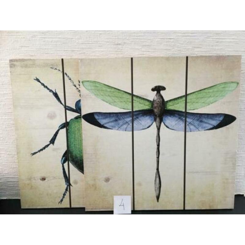 17 x lijsten/sets met vlinders insekten decoratie oa. barok